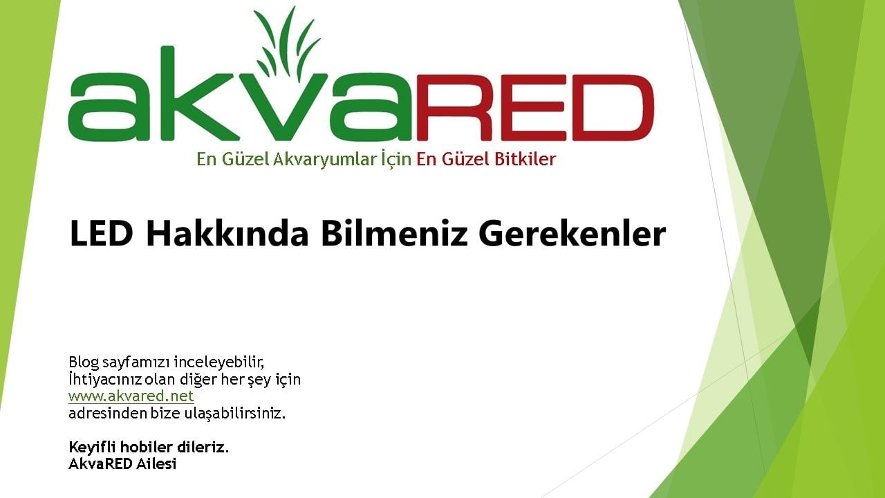 LED Hakkında Bilmeniz Gerekenler