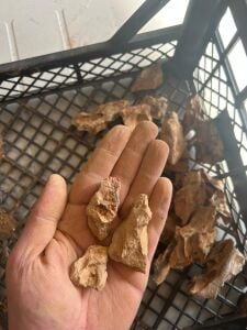 Aqua Boutique Dragon Stone XS BOY