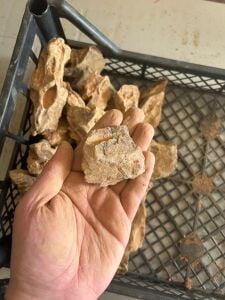 Aqua Boutique Dragon Stone S BOY