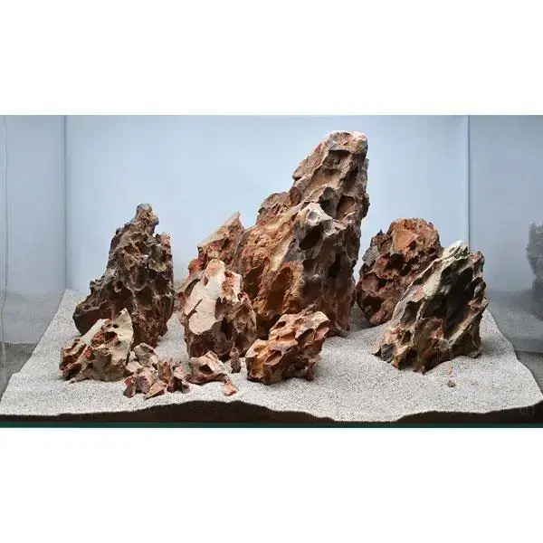 Aqua Boutique Dragon Stone M BOY