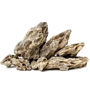 Aqua Boutique Dragon Stone M BOY