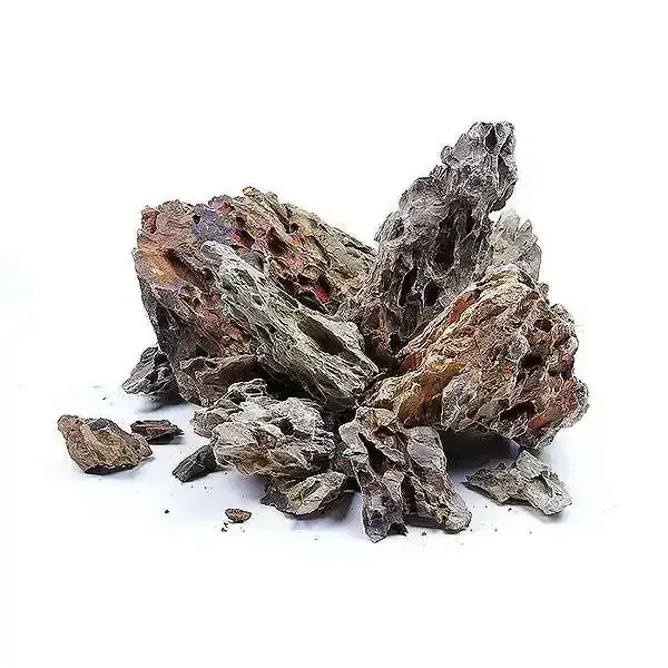 Aqua Boutique Dragon Stone L BOY