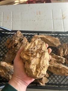 Aqua Boutique Dragon Stone L BOY