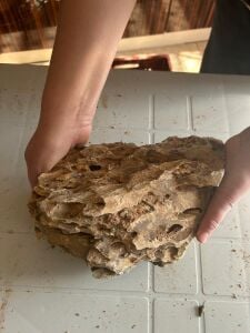 Aqua Boutique Dragon Stone XL BOY