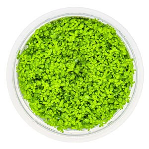 Tropica - Micranthemum callitrichoides Cuba 1-2 Grow!