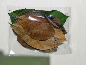 Karışık Kuru Yaprak 25'li Paket