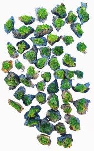 Moss Ball on Rock - XS Boy