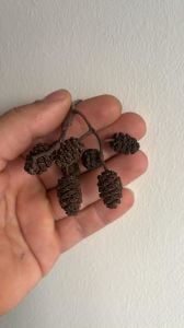 Kızılağaç Kozalağı 25'li Paket