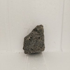 Black Lava Rock - Mini Boy