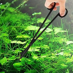 Karbon Kaplama Eğimli Bitki Makası - 25 cm