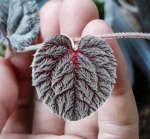 Piper timika ADET ÖN SİPARİŞ