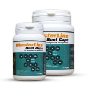 MasterLine Root Caps (60 pcs)