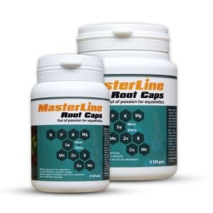 MasterLine Root Caps (125 pcs)