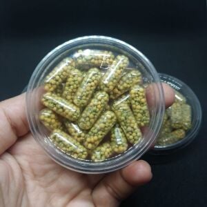 Kolay Başlangıç Pakedi - Nano Akvaryumlar için 0-30 Litre