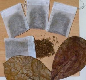 Catappa Yaprağı Poşet Çay 3 GRAM 10'lu PAKET
